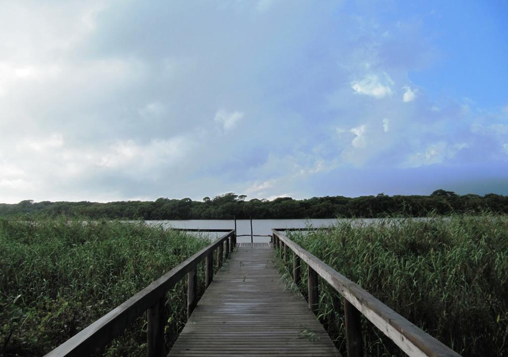 La Dolce Vita CottageSaint Lucia Estuary エクステリア 写真